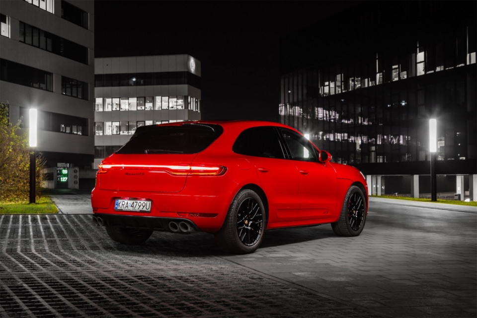 Macan noc 02